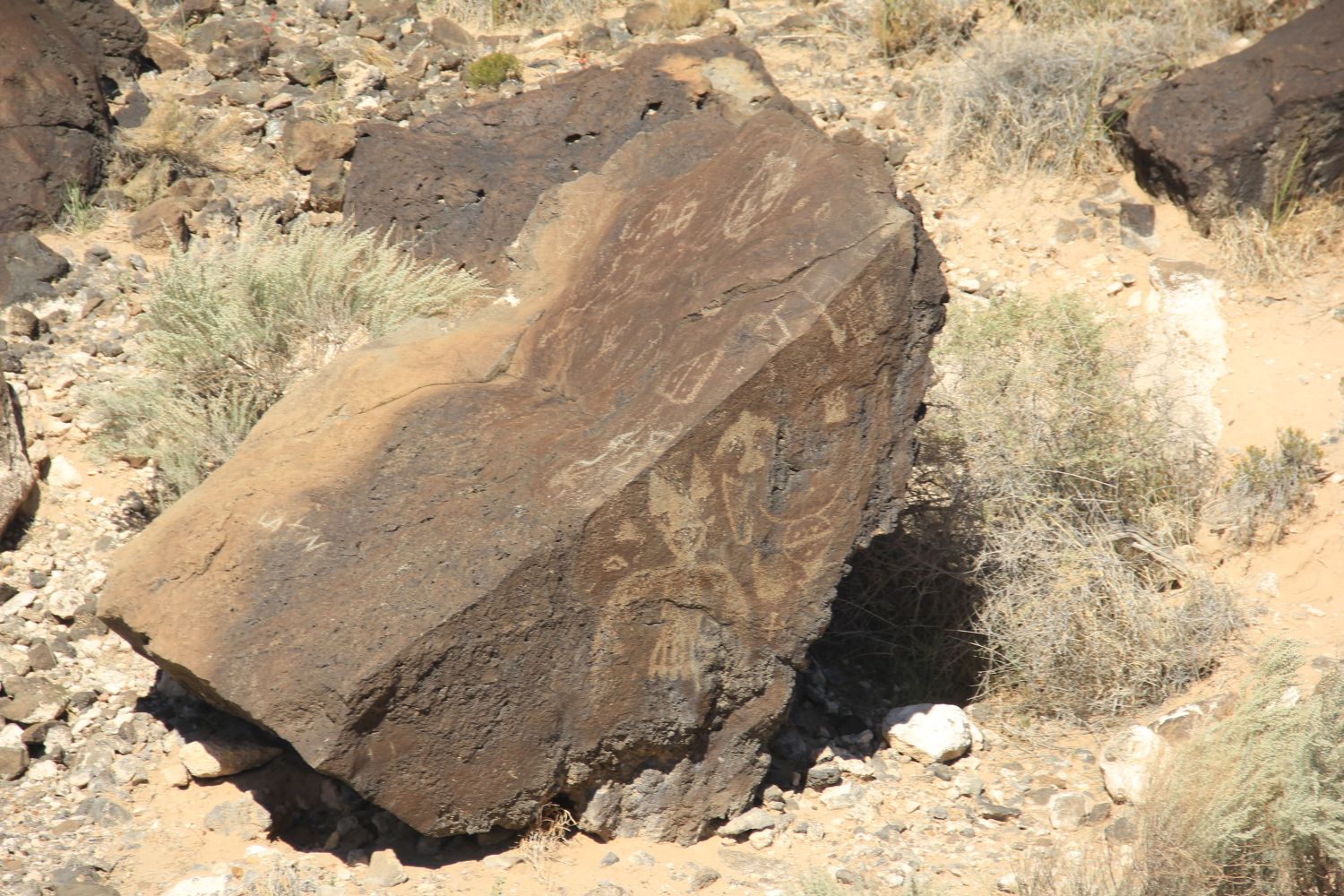 Petroglyph National Monument 